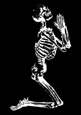 Skeleton praying on black background