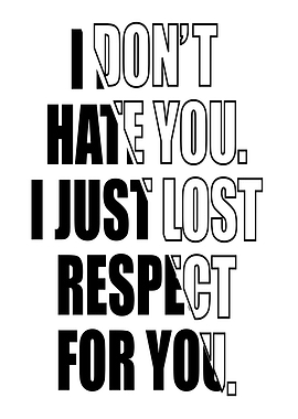 I Don't Hate You, I Just Lost Respect