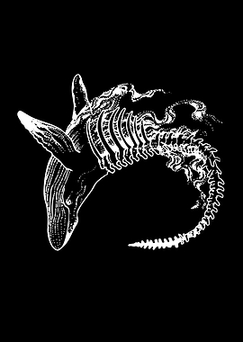 Whale Skeleton Illustration
