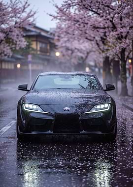 Car Supra in Cherry Blossom Rain