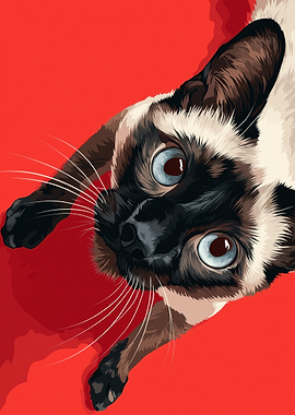 Siamese Cat with Blue Eyes