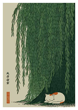 Cat Sleeping Under Willow Tree