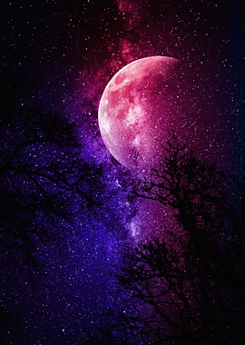 Cosmic Moon and Silhouetted Trees