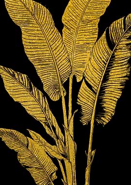 Golden Banana Leaves on Black