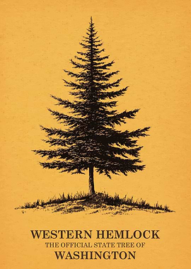Western Hemlock State Tree of Washington