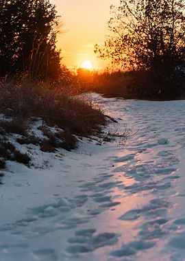 Winter Sunset Path