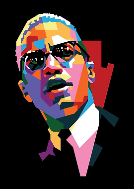 Malcolm X Pop Art Portrait