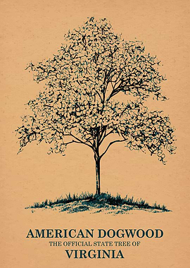 American Dogwood State Tree of Virginia