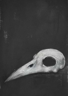 Raven Skull on Black Background