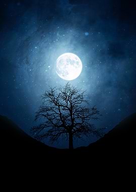 Full Moon Over Barren Tree
