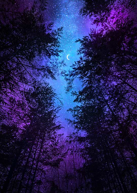 Night Sky Through Trees
