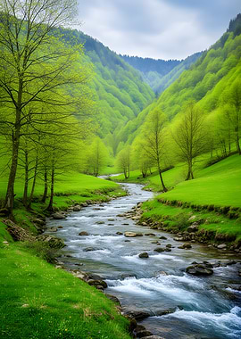 Serene Mountain Valley River