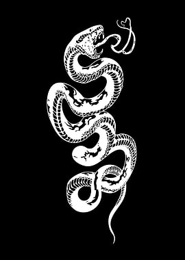 White Snake Illustration on Black Background