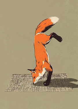 Fox Doing a Handstand on a Mat