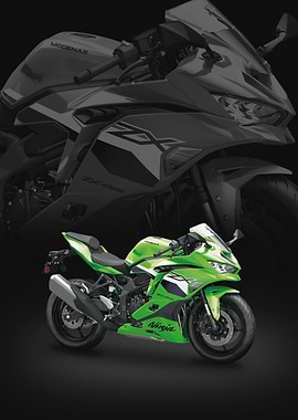 Kawasaki Ninja ZX-4RR Motorcycle