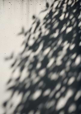 Shadows of Leaves on a Textured Wall