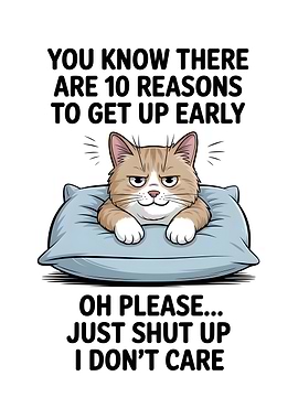 Grumpy Cat Pillow Meme