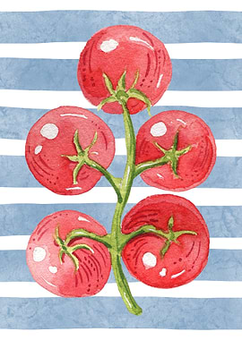 Watercolor Tomatoes on a Vine
