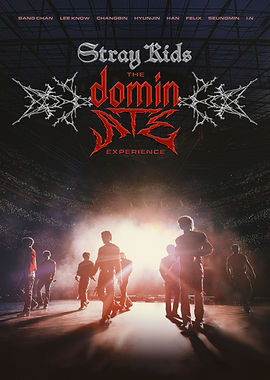 Stray Kids The Dome Experience Poster