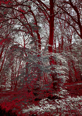Ethereal Forest with Red and White Hues