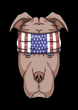 Pitbull with American Flag Bandana
