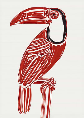 Red Toucan Perched on a Branch