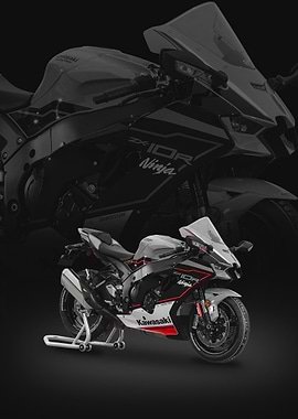 Kawasaki Ninja ZX-10R Motorcycle