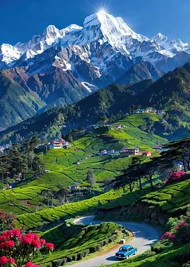 Mountain Landscape with Tea Plantations