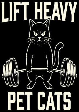 Cat Lifting Weights
