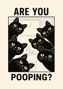 cats are you pooping