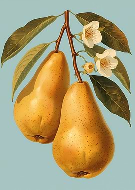 Two Pears on a Branch with Flowers
