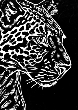 Leopard Profile in White and Black