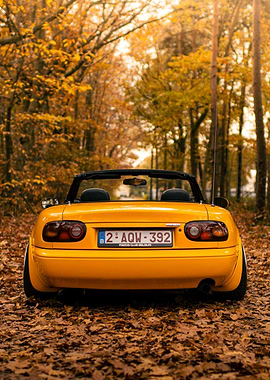 Yellow convertible car in autumn forest
