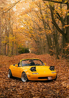 Yellow convertible car in autumn forest