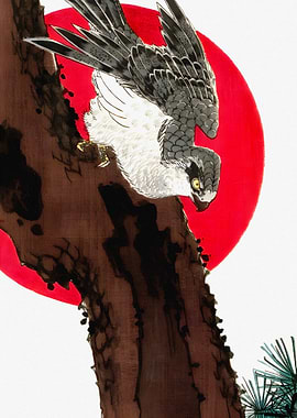 Hawk perched on a tree with a red sun