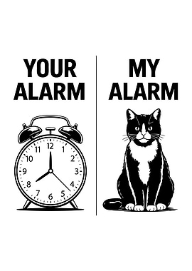 Your Alarm vs My Alarm Cat Meme