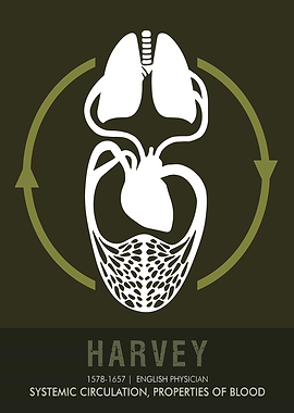 William Harvey Circulation Diagram