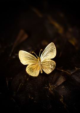 Golden Butterfly Brooch