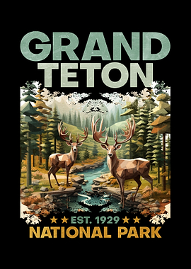 Grand Teton National Park Deer