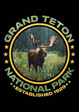 Grand Teton National Park Moose