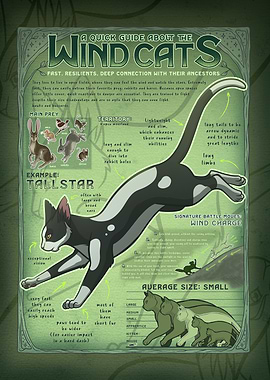 Wind Cats Quick Guide