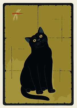 Black Cat Watching Dragonfly