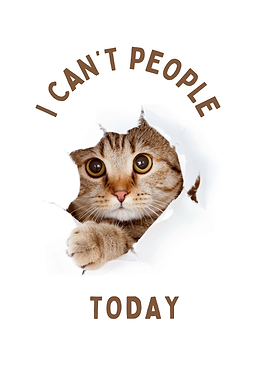 Cat says I can't people today