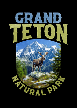 Grand Teton National Park Moose