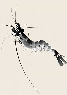 Ink Wash Shrimp Painting