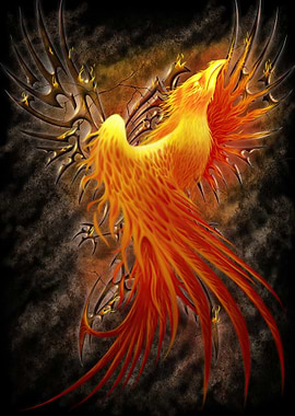 Phoenix Rising