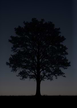Silhouette of a lone tree at dusk