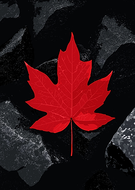 Red Autumn Leaf on Dark Rocks