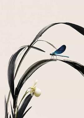 Dragonfly on a Leaf with Orchid