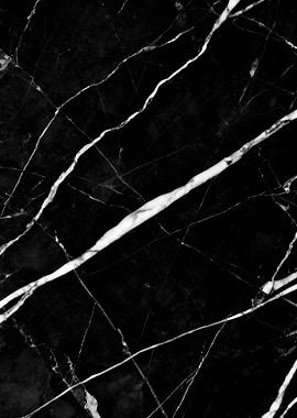 Black Marble with White Veins
